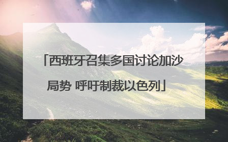 西班牙召集多国讨论加沙局势 呼吁制裁以色列