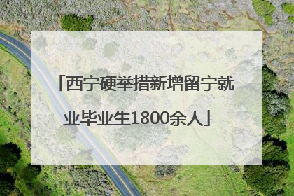 西宁硬举措新增留宁就业毕业生1800余人