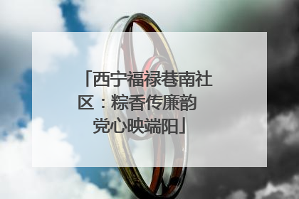 西宁福禄巷南社区：粽香传廉韵 党心映端阳