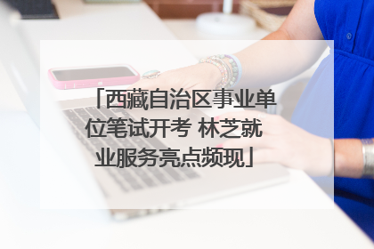 西藏自治区事业单位笔试开考 林芝就业服务亮点频现