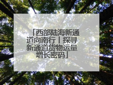 西部陆海新通道向南行丨探寻新通道货物运量增长密码