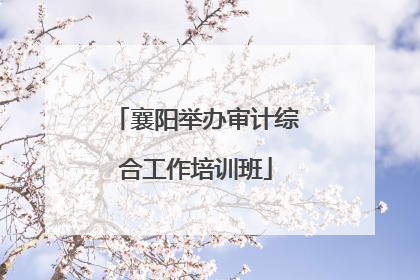 襄阳举办审计综合工作培训班
