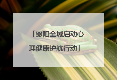 襄阳全域启动心理健康护航行动
