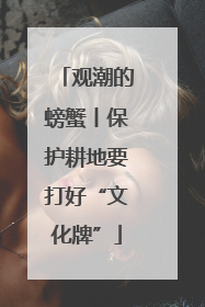 观潮的螃蟹丨保护耕地要打好“文化牌”