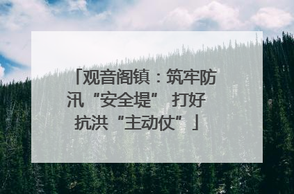 观音阁镇：筑牢防汛“安全堤” 打好抗洪“主动仗”