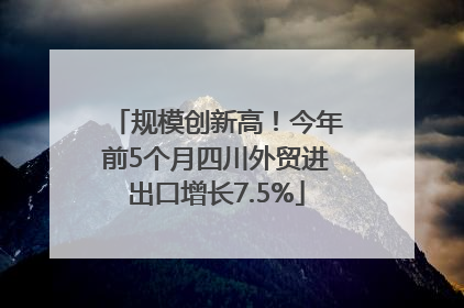 规模创新高！今年前5个月四川外贸进出口增长7.5%
