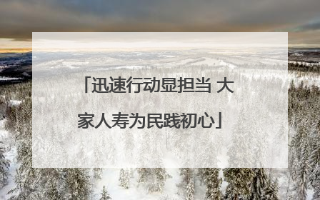 迅速行动显担当 大家人寿为民践初心
