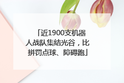 近1900支机器人战队集结光谷，比拼罚点球、障碍跑