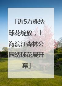 近5万株绣球花绽放，上海滨江森林公园绣球花展开幕
