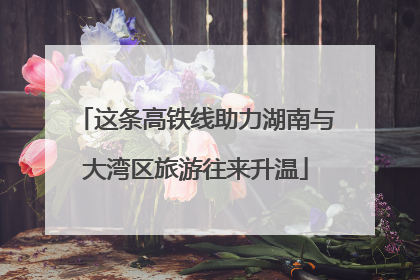 这条高铁线助力湖南与大湾区旅游往来升温