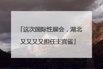 这次国际性展会，湖北又又又又担任主宾省