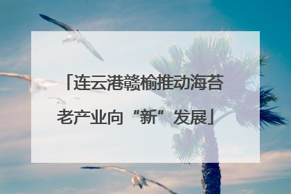 连云港赣榆推动海苔老产业向“新”发展