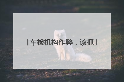 车检机构作弊，该抓