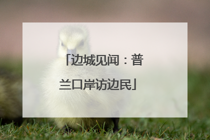 边城见闻：普兰口岸访边民