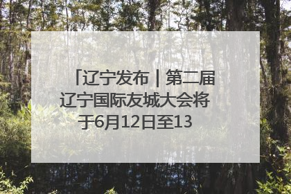 辽宁发布｜第二届辽宁国际友城大会将于6月12日至13日在沈阳举办