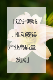 辽宁海城：推动菱镁产业高质量发展