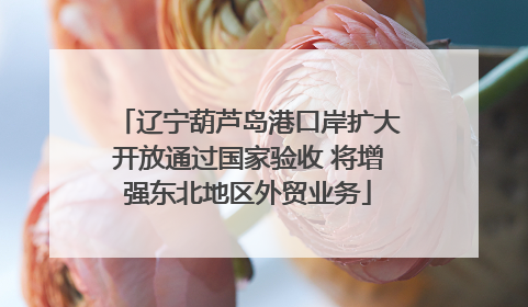 辽宁葫芦岛港口岸扩大开放通过国家验收 将增强东北地区外贸业务