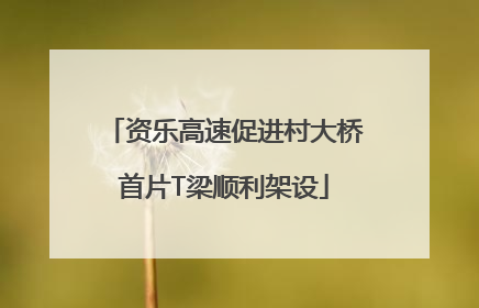 资乐高速促进村大桥首片T梁顺利架设