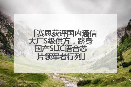 赛思获评国内通信大厂S级供方，跻身国产SLIC语音芯片领军者行列