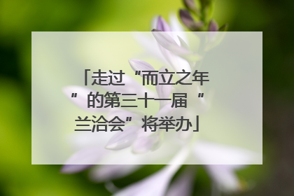 走过“而立之年”的第三十一届“兰洽会”将举办