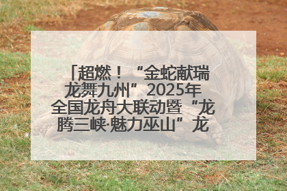 超燃！“金蛇献瑞 龙舞九州”2025年全国龙舟大联动暨“龙腾三峡·魅力巫山”龙舟邀请赛圆满落幕！