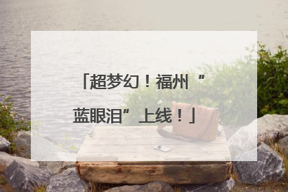 超梦幻！福州“蓝眼泪”上线！