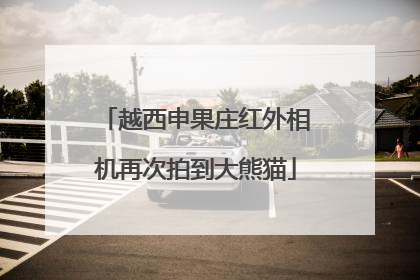 越西申果庄红外相机再次拍到大熊猫