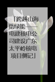 跨越山海觅绿能——电建核电公司建设广东太平岭核电项目侧记