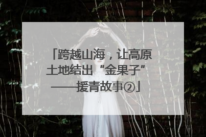 跨越山海，让高原土地结出“金果子”——援青故事②