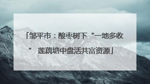邹平市：酸枣树下“一地多收” 莲藕塘中盘活共富资源