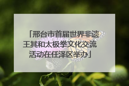 邢台市首届世界非遗王其和太极拳文化交流活动在任泽区举办