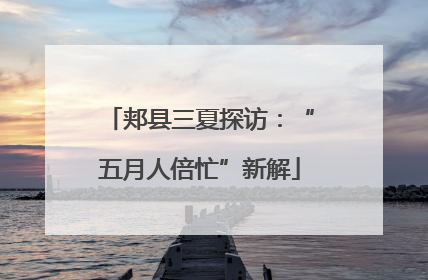郏县三夏探访：“五月人倍忙”新解
