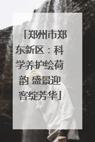 郑州市郑东新区：科学养护绘荷韵 盛景迎客绽芳华