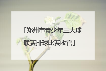 郑州市青少年三大球联赛排球比赛收官