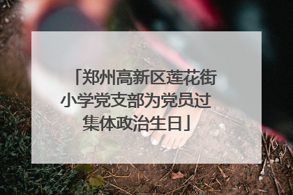 郑州高新区莲花街小学党支部为党员过集体政治生日