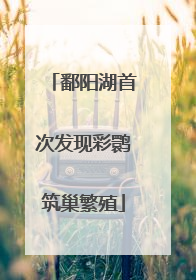鄱阳湖首次发现彩鹮筑巢繁殖