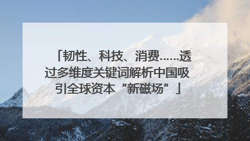 韧性、科技、消费……透过多维度关键词解析中国吸引全球资本“新磁场”