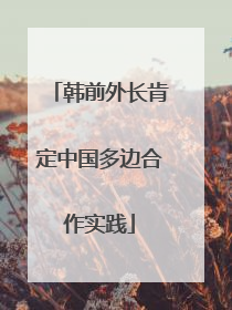韩前外长肯定中国多边合作实践