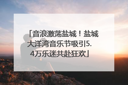 音浪激荡盐城！盐城大洋湾音乐节吸引5.4万乐迷共赴狂欢