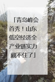 青岛峰会首秀！山东低空经济全产业链实力藏不住了