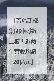 青岛武晓集团冲刺新三板！近两年营收均超20亿元