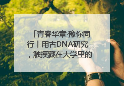 青春华章·豫你同行丨用古DNA研究，触摸藏在大学里的“上下五千年”