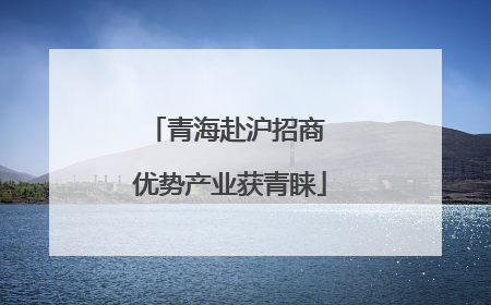 青海赴沪招商 优势产业获青睐