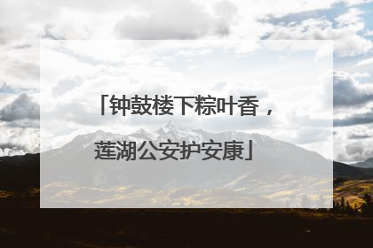 钟鼓楼下粽叶香，莲湖公安护安康