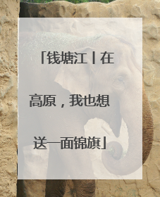 钱塘江丨在高原，我也想送一面锦旗