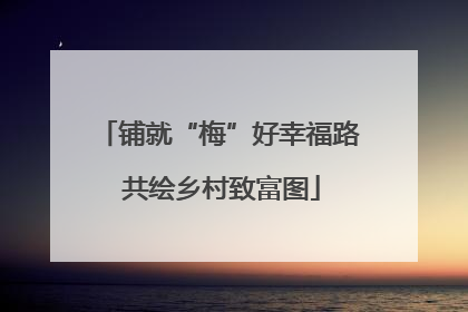 铺就“梅”好幸福路 共绘乡村致富图