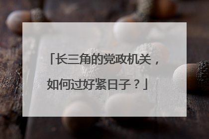 长三角的党政机关，如何过好紧日子？