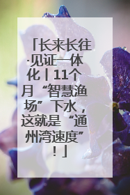 长来长往·见证一体化丨11个月“智慧渔场”下水，这就是“通州湾速度”！