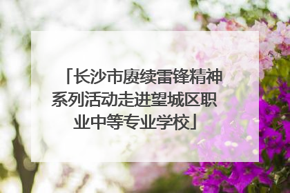长沙市赓续雷锋精神系列活动走进望城区职业中等专业学校