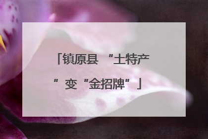 镇原县 “土特产”变“金招牌”